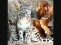 The Moments - Come Away With Me_0001.wmv