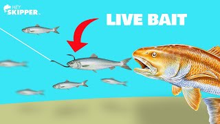 Beach Fishing Technique You’ve NEVER SEEN: Sight Fishing For GIANTS!