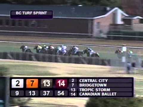 2010 Breeders' Cup Turf Sprint