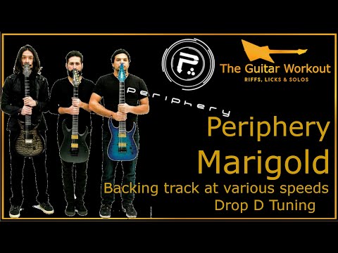The Guitar Workout - Periphery - Marigold (Drop D Tuning)