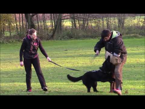 Ursa z Jukasu - protection in 7-8 months