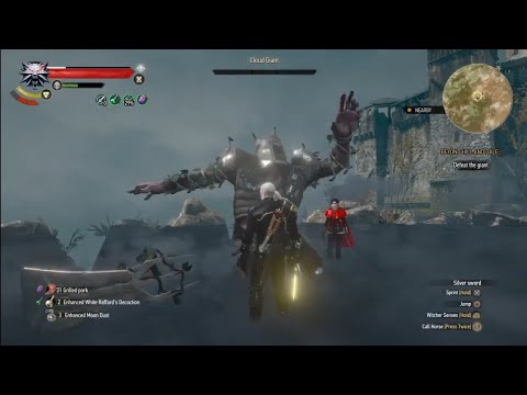 The Witcher 3 - Euphoria + Whirl vs Cloud Giant