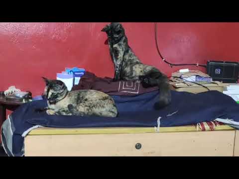 Moni- Mukta are taking rest...hahaha