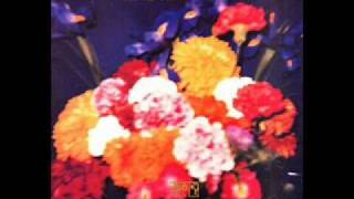 Tears drop explodes - east of the equator (instrumental)