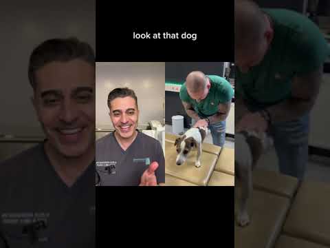 This Foot Doctor's Reaction to This Prosthetic Man Humor!