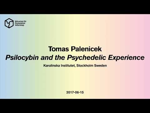 Tomas Palenicek: Psilocybin & The Psychedelic Experience