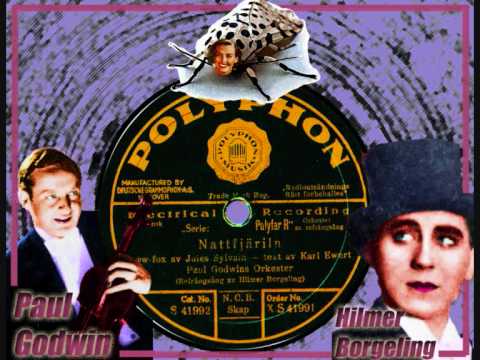 Paul Godwin orch & Hilmer Borgeling - The Moth (Nattfjärilen)  1931