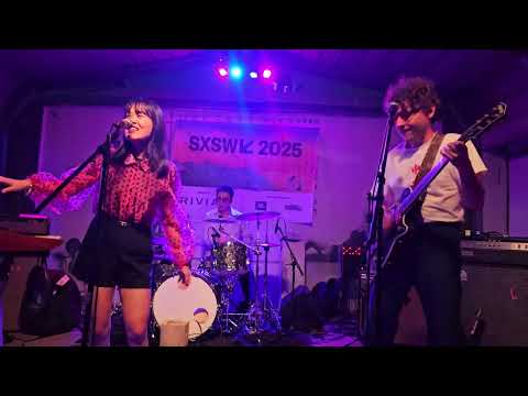 Chinese American Bear