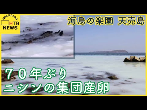 500年前のニシン資源の崩壊