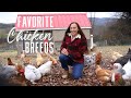 My Favorite Chicken Breeds