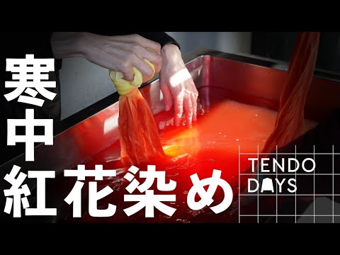 美しく染まる2月の寒中紅花染め｜紅餅・烏梅・藁灰など天然の素材だけで染め上げる本物の体験