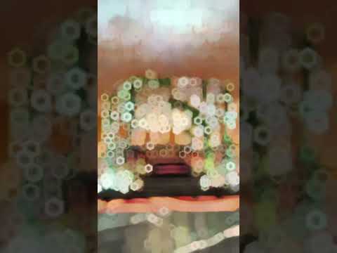 Wedding Decorator portfolio by Eventi 5 in Surat - Photo 0 Wedding Decorator portfolio by Eventi 5 in Surat - Photo 0