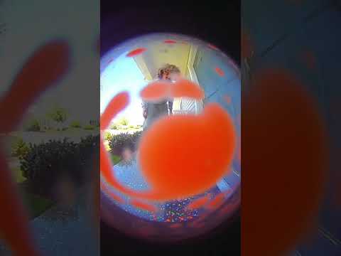 Flower Box… Then BOOM 😂 (Caught on Ring Camera)