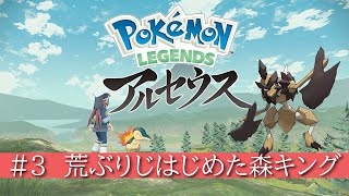 【LEGENDSアルセウス】#3 荒ぶりはじめた森キング