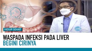 Download lagu Waspada Infeksi hati, Ini Gejala dan Penyebabnya | Deteksi Penyakit mp3