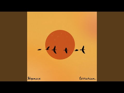 Flight Patterns