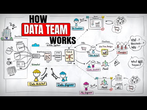 How Modern Data Teams Work (Engineer, Analyst, Scientist, Architect, ML)