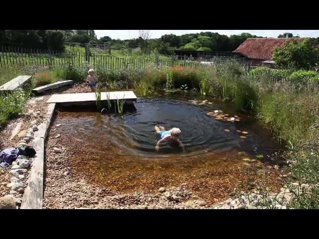 how to build a DIY organic pool:natural pool in 3 minutes