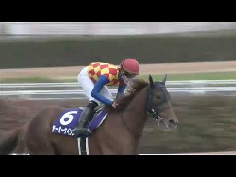 T O Keynes wins the 2021 Champions Cup