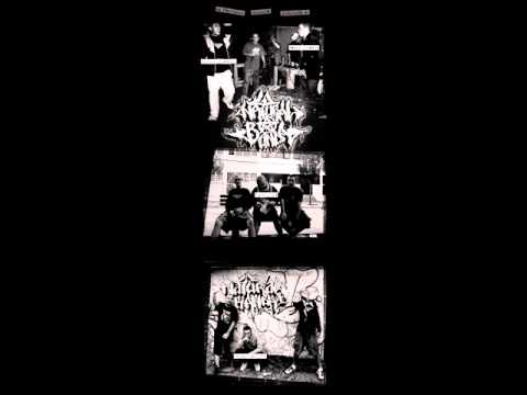 Natural Banda - Freestyle Terapia