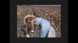 #3 Leadbelly - Old Cotton Fields