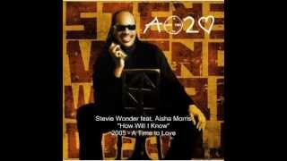 Stevie Wonder   How Will I Know feat  Aisha Morris 360p