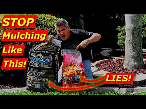 Wood Mulch vs Rubber Mulch: 2 Big Lies They tell You!