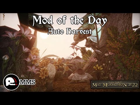 Morrowind Mod of the Day - Auto Harvest Showcase