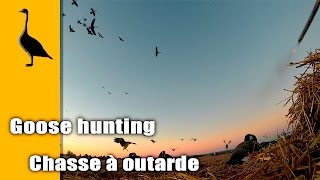 preview picture of video 'Chasse à l'outarde - septembre 2014 / Geese hunting - September 2014'