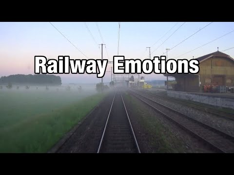 🚆 Malerische Führerstandsmitfahrt im morgendlichen Bodennebel (Thurbo S10 | Romanshorn - Wil)