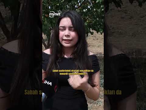 17 yaşındaki lise öğrencisi, susuz yaylada yarattığı tarım mucizesiyle dünyaya damga vurdu