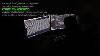 I developed a (small) honeypot to catch hackers & bots.