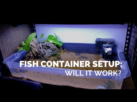 download lagu mp3 mp4 Fish Storage Containers, download lagu Fish Storage Containers gratis, unduh video klip Fish Storage Containers
