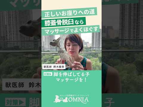 関節痛のある犬のための自然療法