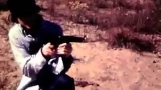 DESIRE LINES - Deerhunter