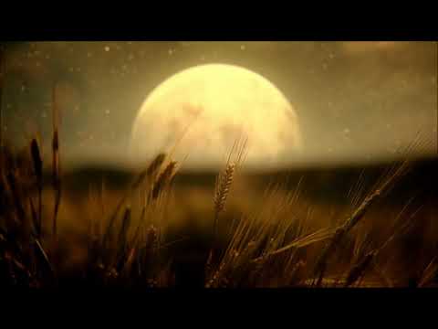 Das Buch der Psalmen / Bibel Hörbuch