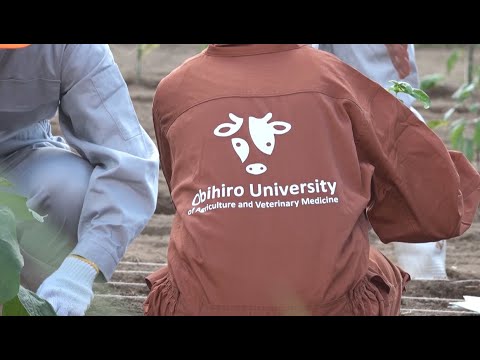 北海道放送（HBC）帯広畜産大学紹介番組（短縮版）