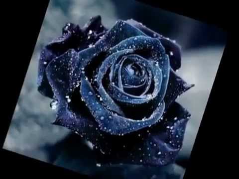 Corina Bocsa-Stau si ma intreb mereu