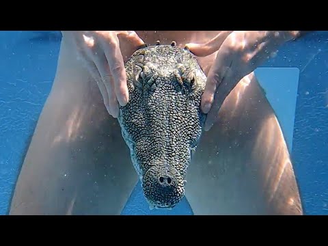 Yvie Oddly - Vibe (ft. Cakes Da Killa & Brad Kemp) [Official Video]