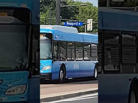 YRT/VIVA 2209 on VIVA Yellow