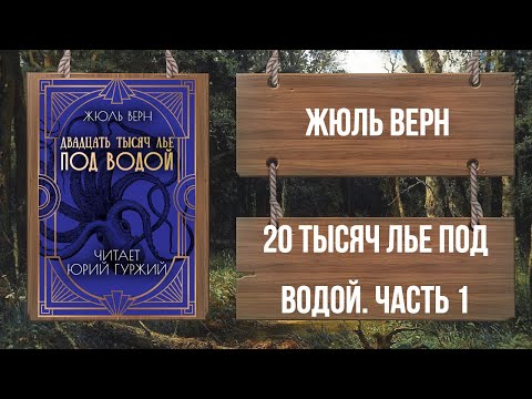 ЖЮЛЬ ВЕРН - ДВАДЦАТЬ ТЫСЯЧ ЛЬЕ ПОД ВОДОЙ - ЧАСТЬ 1