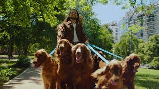 Claritin Clear means