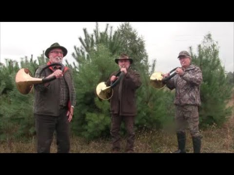 I met hunters - episode 156 Band "Babrzysko" We play hunting signals - how to behave