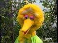 Sesame Street 3769 Big Bird Is AlphaBird