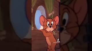 TOM & JERRY! SAY WAAAA?