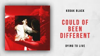 Kodak Black - Could Of Been Different (Dying To Live)