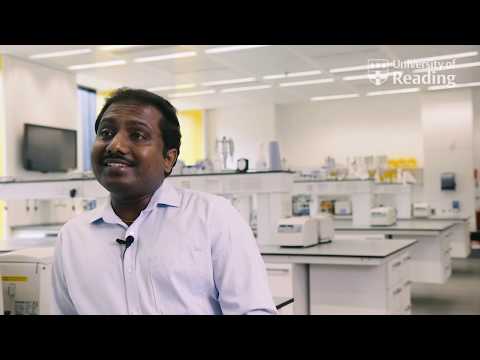 Preventing snake bite play video