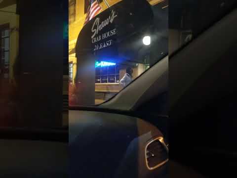 Chicago Shemale