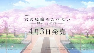 劇場アニメ「君の膵臓をたべたい」Blu-ray&DVD発売決定PV mqdefault - 劇場アニメ「君の膵臓をたべたい」Blu-ray&DVD発売決定PV