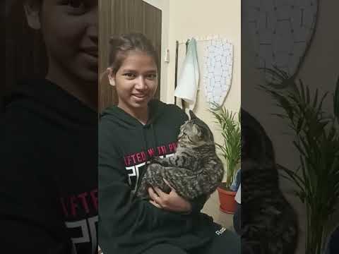 ma papa vachindhi banglore nunchi bella ni chuddaniki🧡🧡